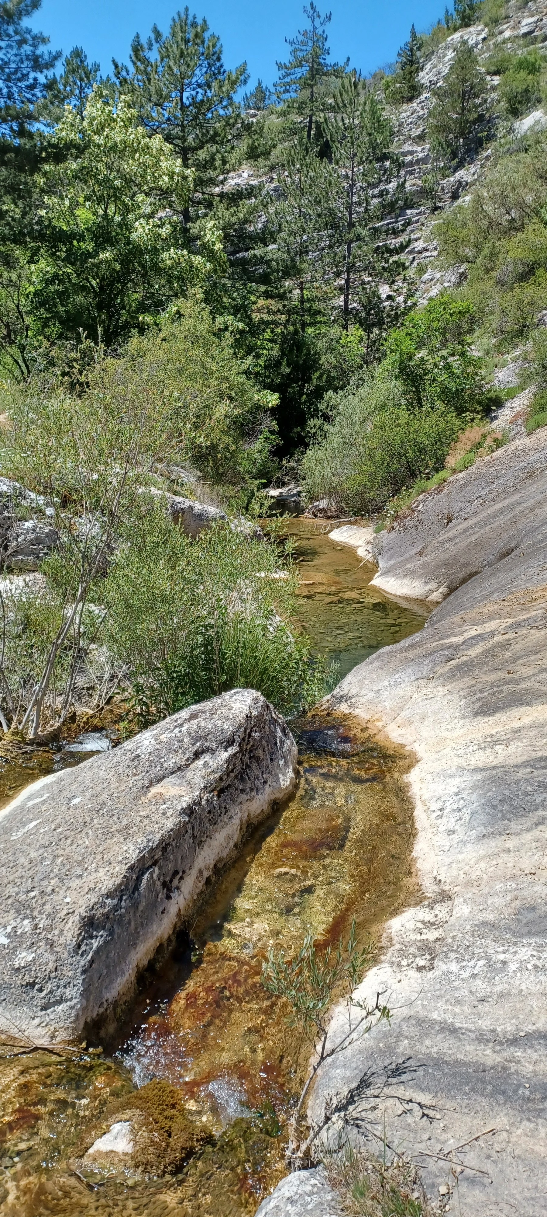 20260610 1 le long du riou