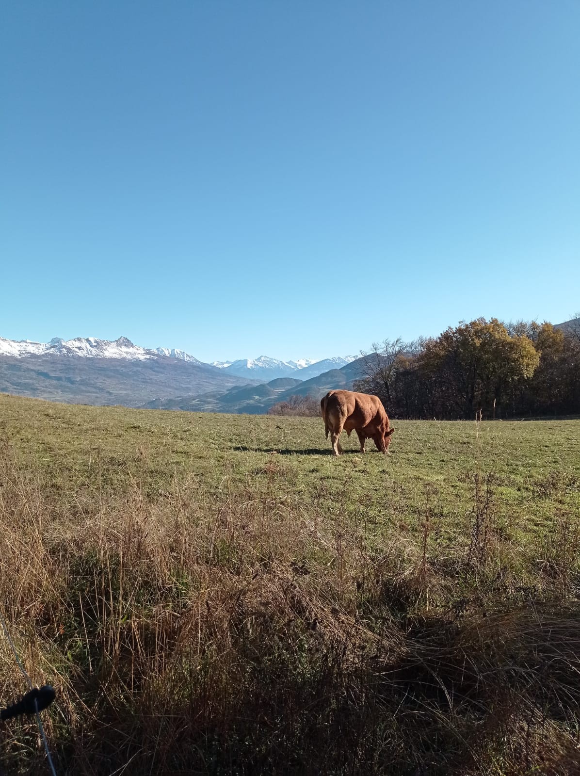 7) Le col de l'Ange et les montagnes de l'Ubaye au fond